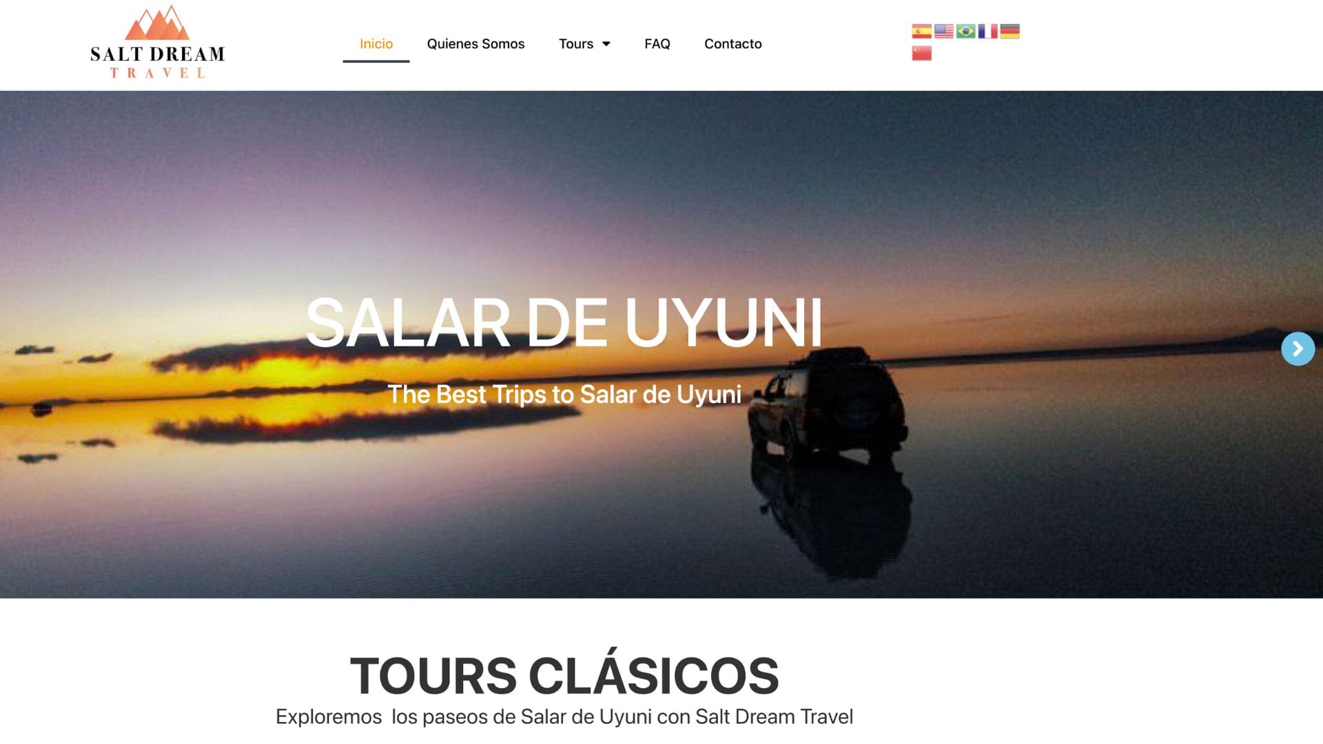 Elaboración Páginas Web 12 Saltdream Travel