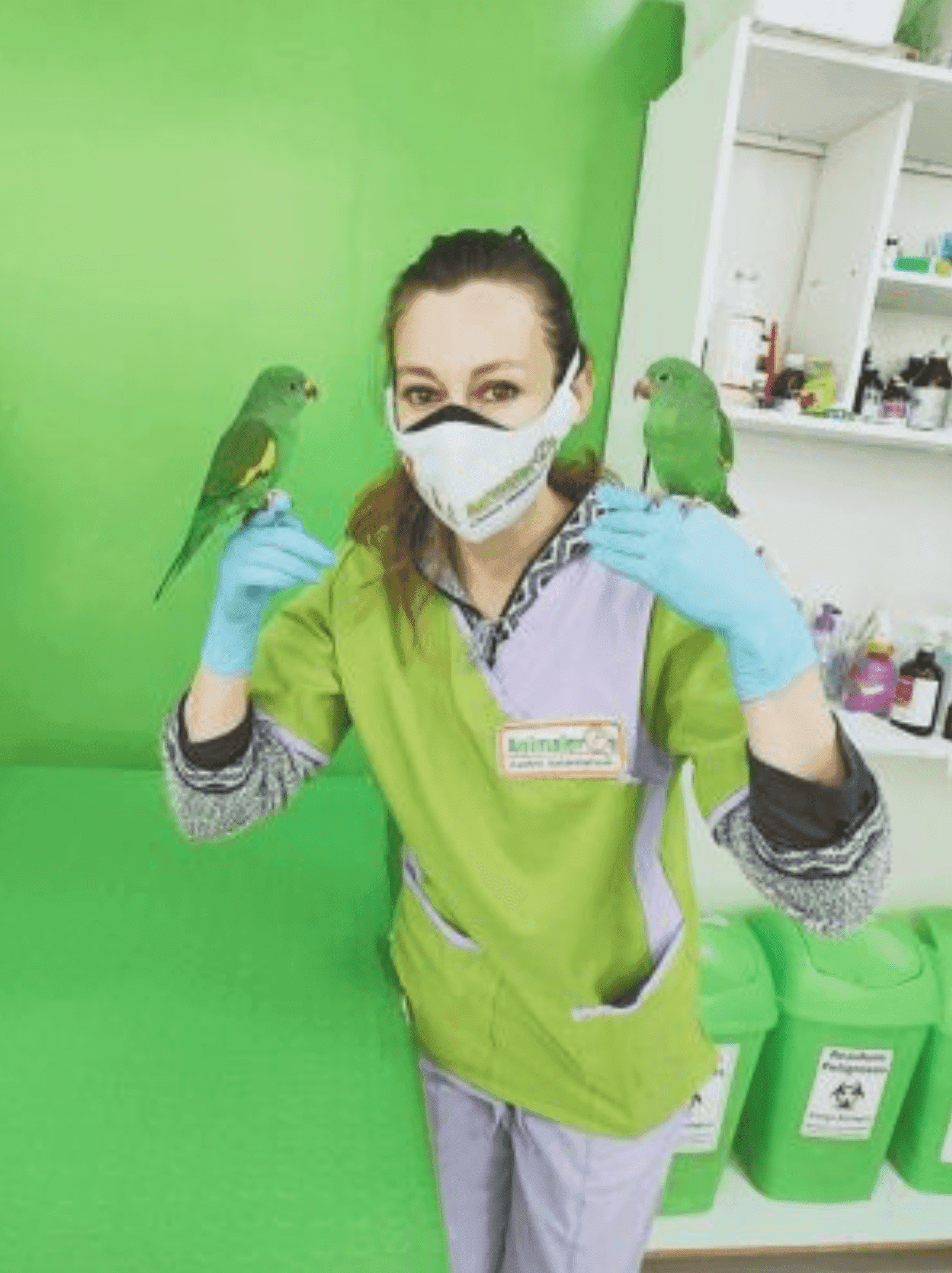 Veterinaria Animaleros